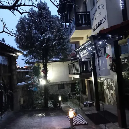 招待所 Skabrin 班斯科