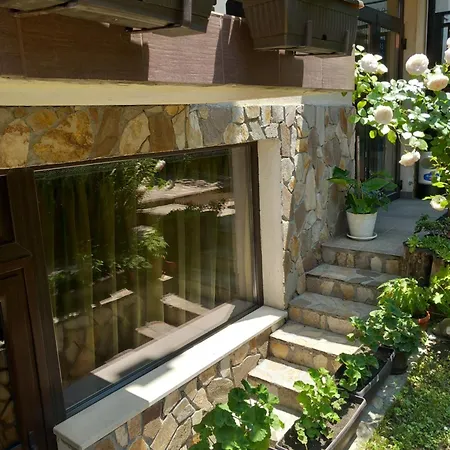 Skabrin بانسكو