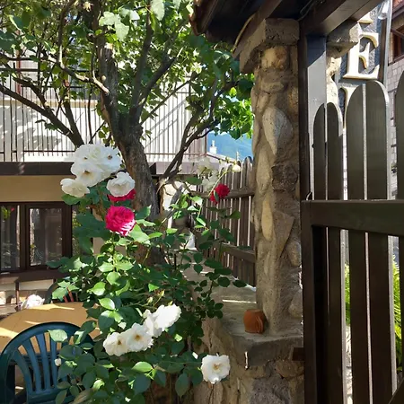 Skabrin 2* بانسكو